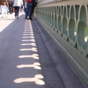 Ponte