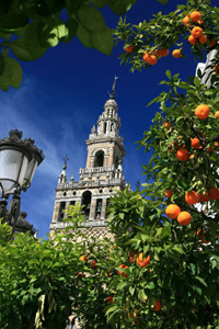 Siviglia