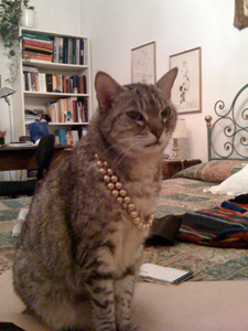 Cleo 1