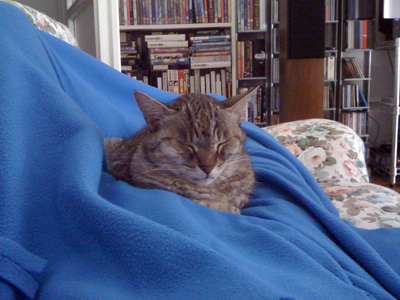 Cleo 4