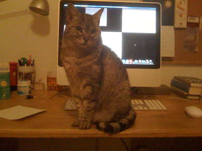 Cleo 9