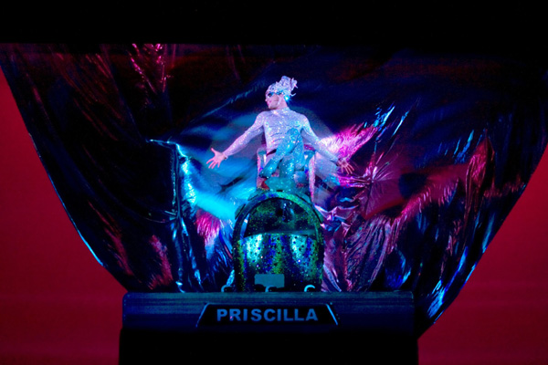 Priscilla la Regina del Deserto