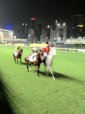Happy Valley Racecourse