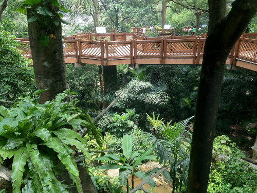 Hong Kong Park Aviary