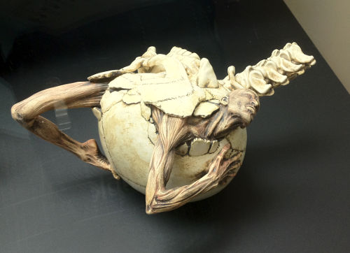 Tea Ware Skull