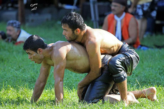 Turkish Oil Wrestling 08