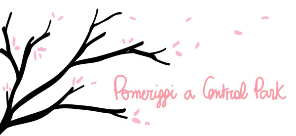 Pomeriggi a Central Park