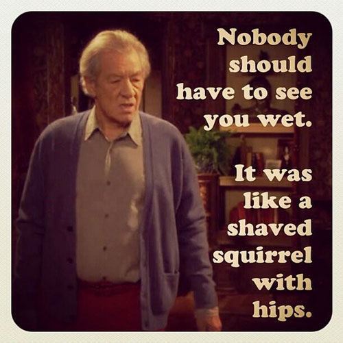 Vicious Quote