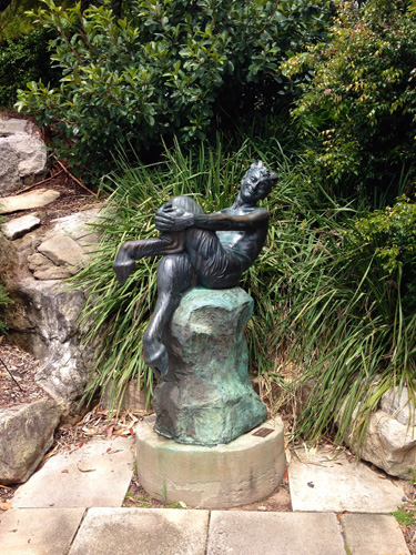 Royal Botanic Gardens Syndey Satyr
