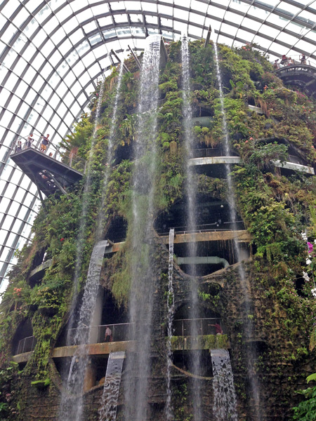 Waterfall Cloud Forest