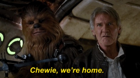 Chewie-we-re-home.jpg